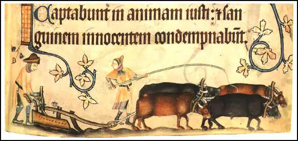 (2) Moulboard Plough, Geoffrey Luttrell Psalter (1325)