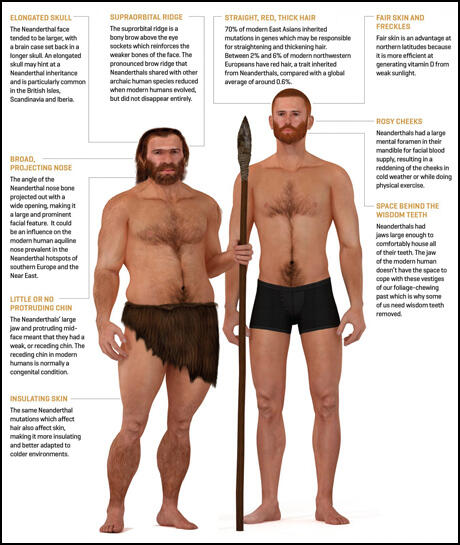 Neanderthals and Homo Sapiens