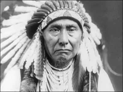 Chief Joseph of the Nez Percé tribe