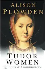 The Tudor Age