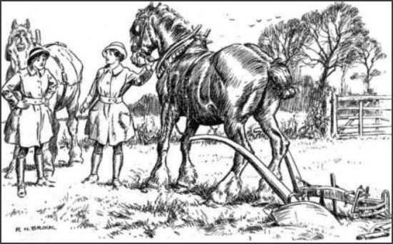 Plough Girl: Mabel, do go and ask the farmer if we can have a smaller horse. This one's too tall for the shafts.Punch Magazine (April, 1915)