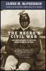 The Negro's Civil War