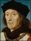 Henry VII 